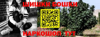 СК Лесосибирск