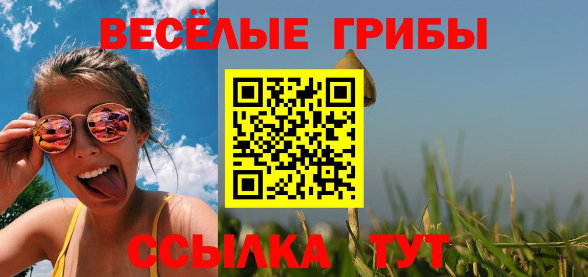 Шатура  Псилоцибиновые грибы мицелий  Вход с VPN 