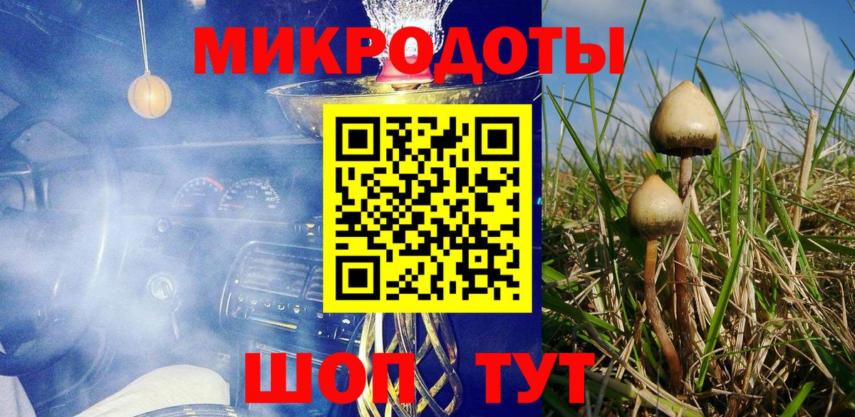 Псилоцибиновые грибы Cubensis Шатура